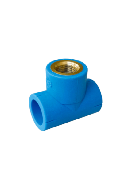 TEE FEMMEL PPR PN20 NIRON